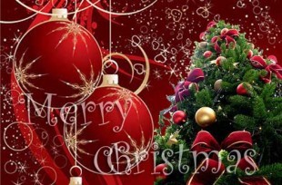 Christmas Cake Special | Passage To India